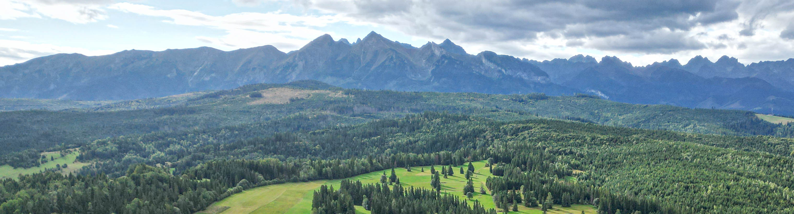 Bundz biały - 450 g